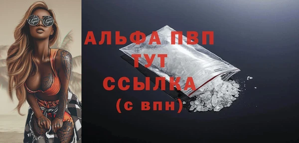 2c-b Бородино