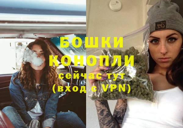 ешки Бронницы
