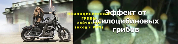 2c-b Бородино