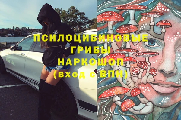 ешки Бронницы