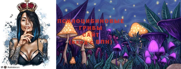 2c-b Бородино